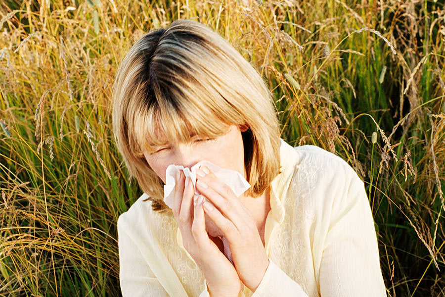 Hayfever-relief-MSM