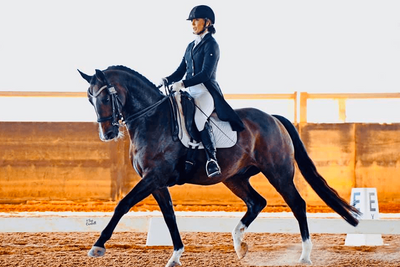 MISMO MSM for Equestrian Use - Hillary McGregor