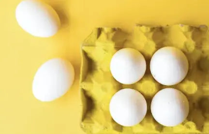 egg