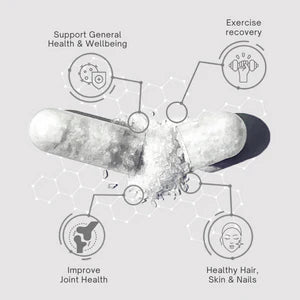 MSM-Powder