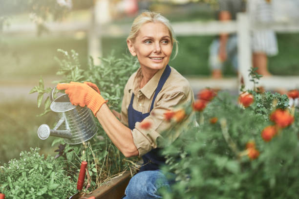 Collagen and Menopause: The Missing Link to Skin Joints