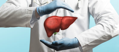 MSM: A Potential Breakthrough in Liver Cancer Treatment