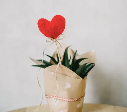 MSM Skincare Australia for Rosacea or Sensitive skin