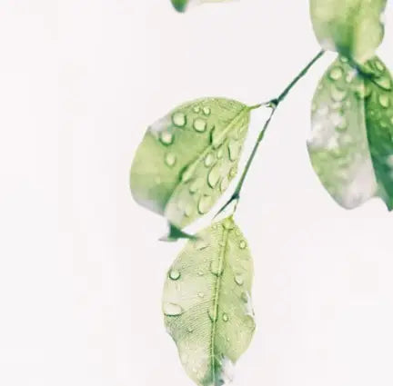 Treat two Common Skin Problems Naturally