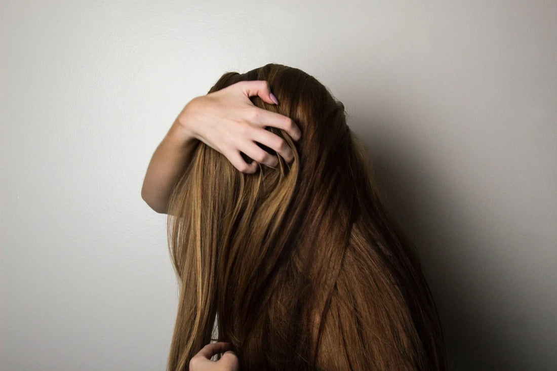MSM hair growth 