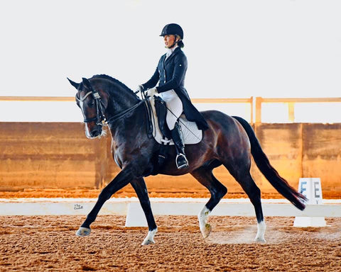 MISMO MSM for Equestrian Use Hillary McGregor