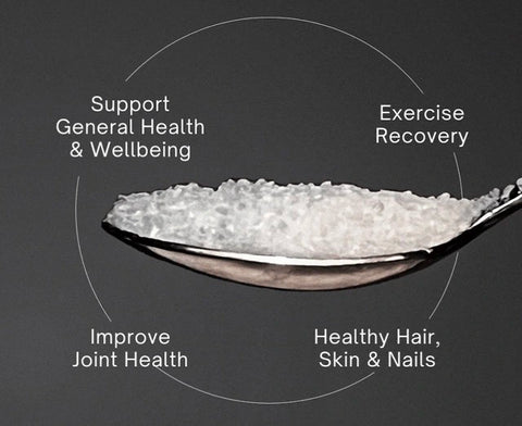 Boost Your Immune System